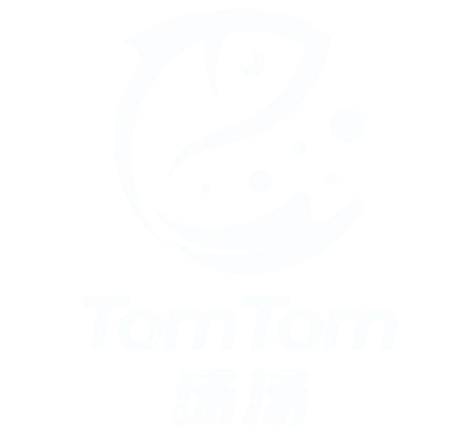 TomTom International